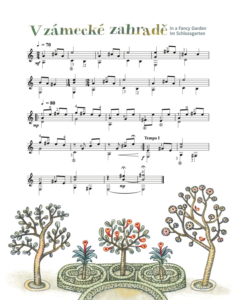 I Want to Be a Guitarist