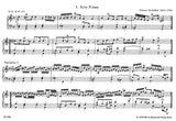 Pachelbel: Selected Organ Works - Volume 10