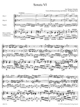 Zelenka: Sonata No. 6 in C Minor, ZWV 181, No. 6