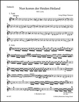 Telemann: Nun komm der Heiden Heiland, TWV 1:1174