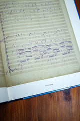 Smetana: Vltava (The Moldau)