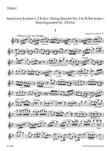 Dvořák: String Quartet No. 2 in B-flat Major, B 17