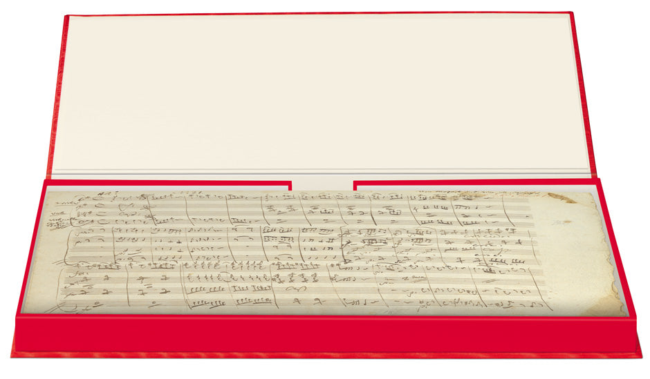 Mozart: Eine kleine Nachtmusik for Strings, K. 525