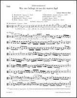 Bach: Was mir behagt, ist nur die muntre Jagd, BWV 208