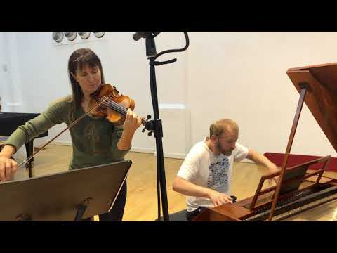 Beethoven: Violin Sonatas - Volume 1