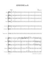 Haydn: Symphony in D Major, Hob. I:96