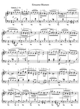 Schumann: Waldszenen, Op. 82