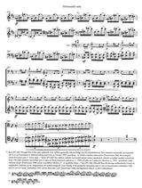 Dvořák: Cello Concerto in B Minor, Op. 104